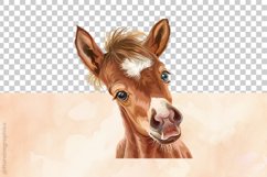 Baby Horse Clipart 04 Variations Product Image 4