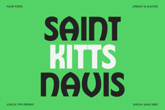 Fleur Porta | Display Sans Product Image 3