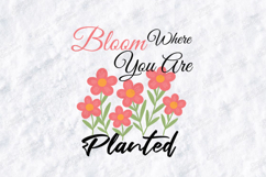 Bloom Where You Are Planted Floral SVG Sublimation Design Product Image 3