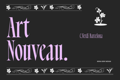 Bersa Serif | Narrow Serif Product Image 3