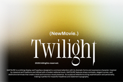 Gafsure | Modern Serif Product Image 3