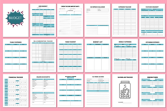 2026 Budget &amp; Savings Journal Canva templates Product Image 3