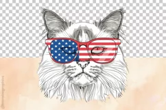 Birman Cat| Patriotic Clipart | 4th of July Product Image 3