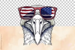 Albatros | Patriotic Clipart | 4th of July Sublimation Product Image 3