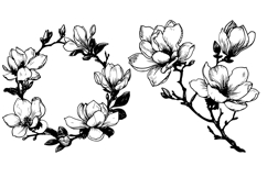 Magnolia SVG - Flowers Line Art SVG Bundle Product Image 3