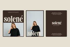 Saneco | Display Serif Product Image 4