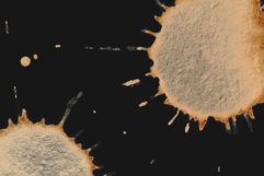 10 Realistic Coffee Stains &amp; Splashes Pack Product Image 5