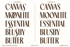 Noserta | Modern Sans Product Image 4