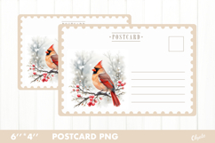 Christmas Card PNG. Cardinal Postcard PNG Product Image 1