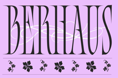 Bersa Serif | Narrow Serif Product Image 4