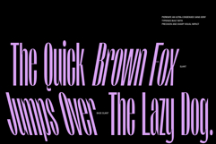 Pierknife | Ultra Condensed Sans Product Image 4