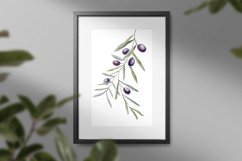 Olives Branches Watercolor Product Image 4