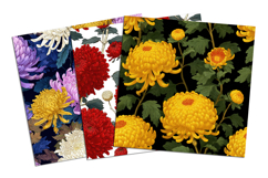 Chrysanthemum Flower Seamless Pattern and Digital paper Product Image 4
