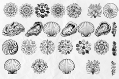 Seashell SVG Bundle Product Image 4