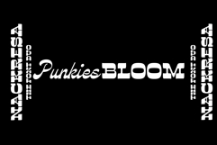 Nackresa | Modern Vintage Duo Product Image 5