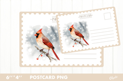 Christmas Card PNG. Cardinal Postcard PNG Product Image 1