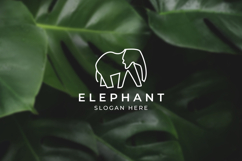 Elephant Logo Minimal Design Product Image 5