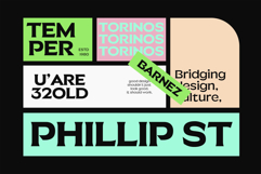 JT Barnez | Modern Sharp Serif Product Image 5