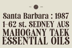 Saneco | Display Serif Product Image 5
