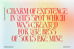 Gafsure | Modern Serif Product Image 5