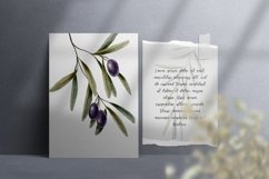 Olives Branches Watercolor Product Image 2