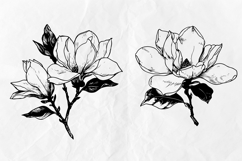 Magnolia SVG - Flowers Line Art SVG Bundle Product Image 5