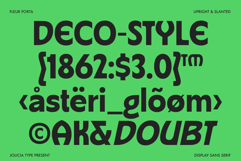 Fleur Porta | Display Sans Product Image 6