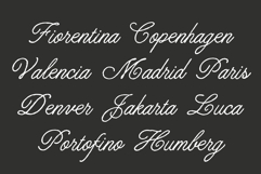Royale Victoria | Handwritten Script Product Image 6
