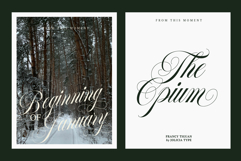 Francy Tiguan | Classy Script Font Product Image 6