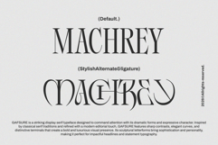 Gafsure | Modern Serif Product Image 6