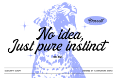 Scrakers | Vintage Font Product Image 6