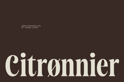 Saneco | Display Serif Product Image 6
