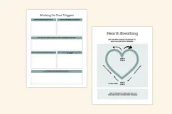 2027 PTSD & Trauma Processing Workbook Kdp interiors Product Image 6
