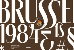 Noserta | Modern Sans Product Image 6