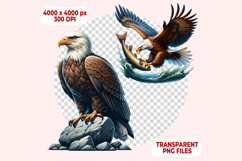 Eagle Clipart Bundle Product Image 6