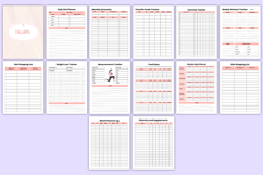 2026 All-in-One Life Organizer Bundle Canva Templates Product Image 6