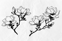 Magnolia SVG - Flowers Line Art SVG Bundle Product Image 6