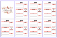 2026 Pregnancy Journal Canva Template Product Image 6