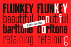 Merca | Condensed Sans Product Image 7