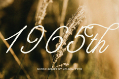 Royale Victoria | Handwritten Script Product Image 7