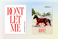 Gafsure | Modern Serif Product Image 7