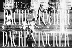 Bersa Serif | Narrow Serif Product Image 7