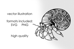 Seashell SVG Bundle Product Image 5