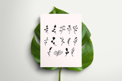 Hand Drawn Leaf Set Vector Illustration Product Image 7
