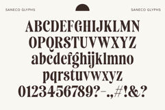Saneco | Display Serif Product Image 7