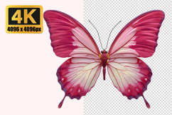 Vibrant Pink and White Butterfly Transparent PNG Product Image 1