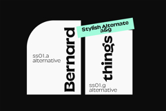 JT Barnez | Modern Sharp Serif Product Image 8