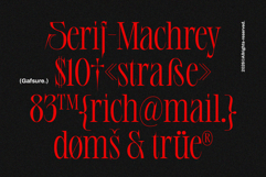 Gafsure | Modern Serif Product Image 8