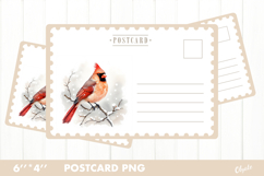 Christmas Card PNG. Cardinal Postcard PNG Product Image 1