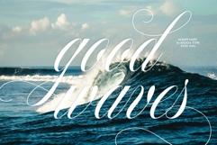 Francy Tiguan | Classy Script Font Product Image 8